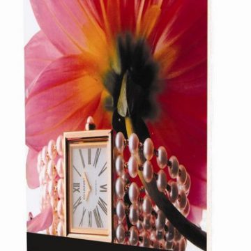 બેનર રોલ કરો